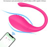 DIEMLOVE Vibrador silencioso com controle remoto Vibrador feminino perfeito  prova d'gua, material macio, seguro, mini, saudvel e compacto