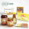 Apis Flora Mel Puro Bisnaga - 340G Linha Mel Puro