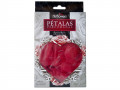 Ptalas Aromticas 100 unidades - Hot Flowers