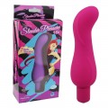 VIBRADOR PONTO G SLENDER PLEASURE VIBE EM SILICONE