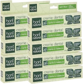 CREME DENTAL VEGANO SEM FLUOR COM ALOE VERA AKMOS - 90g - PREO DE ATACADO REVENDA 10UNIDADES