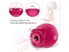 Vibrador em Formato de Flor com Suc��o recarreg�vel - VibraToy