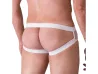 Imagem 2