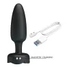 Plug Anal Com Vai E Vem / Luz De Led - Tarion - Pretty Love