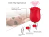 Vibrador em Formato de Flor Estimulador de clit�res com Suc��o recarreg�vel - VibraToy