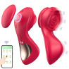 Vibrador De Calcinha - Paraty -  Longa Distncia - App