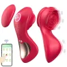 Vibrador De Calcinha - Paraty - � Longa Dist�ncia - App