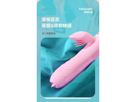 Vibrador com Estimulador de Clitris Recarregvel - VibraToy