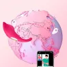 Vibrador De Calcinha - Niami