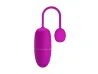 Imagem 3