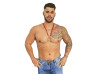 Imagem 1