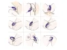 Vibrador de Casal Crypl Dibe Recarreg�vel - VibraToy