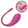 Vibrador De Casal - Controlado Por App