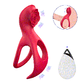 Anel Duplo Com Vibro E Controle Remoto - Nolan-B - Sianel Duplo Com Vibro E Controle Remoto - Nolan-B - Sianel Duplo Com