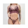 Conjunto Renda Bordada Com Bojo