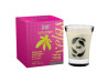 Vela para Massagem Allumer Aromatizada 90g - Intt
