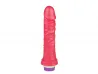 Prtese com Vibrador Interno Linha Color 18 x 4,5 cm - Pau Brasil