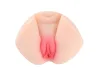 Masturbador Meio Corpo com Vagina e �nus Penetr�veis (Ref. 100) - VibraToy