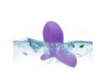 Imagem 6