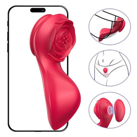 Vibrador De Calcinha - Paraty -  Longa Distncia - App