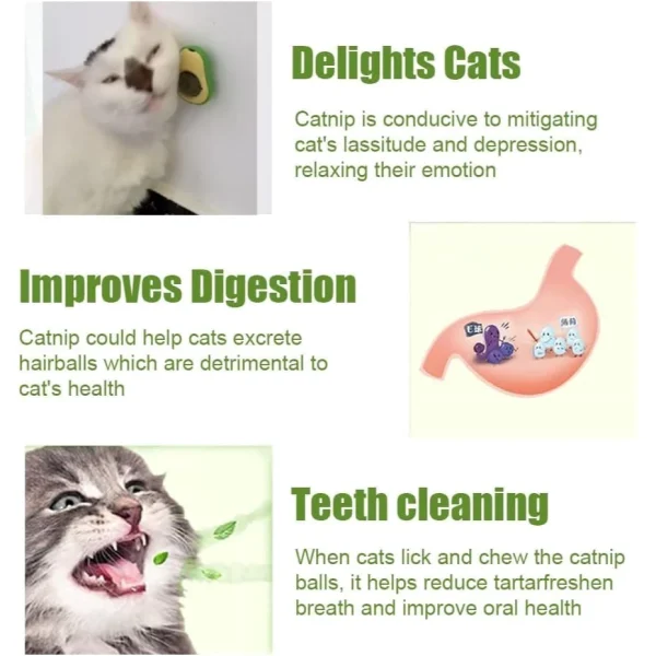 Abacate De Brinquedo Para Gatos Com Catnip Erva Gato Natural - Imagem 7