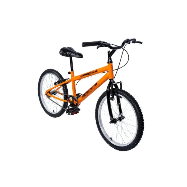 Bicicleta Aro 20 MTB Boy Infantil Tridal - Imagem 10