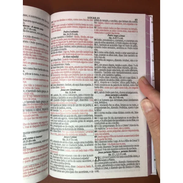 Bíblia Sagrada Tamanho Grande com Harpa Palavras de Jesus em Vermelho Folha Lilas - Imagem 5