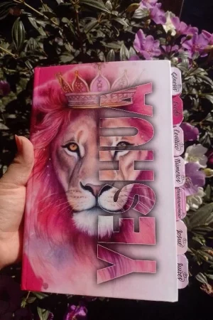 BIBLIA PREMIUM  com ABAS DIVISÓRIAS
