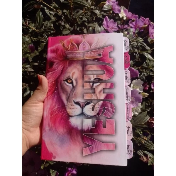 BIBLIA PREMIUM  com ABAS DIVISÓRIAS