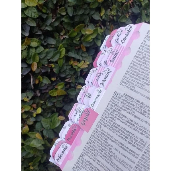 BIBLIA PREMIUM  com ABAS DIVISÓRIAS - Imagem 2
