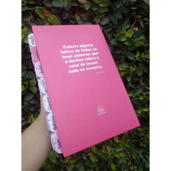 BIBLIA PREMIUM  com ABAS DIVISÓRIAS - Imagem 3