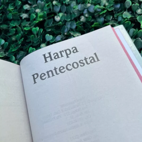 Bíblia Sagrada Feminina Leão Yeshua (Jesus) Rosa Capa Dura Com Harpa e Índice LETRA MÉDIA Versão ARC - Imagem 3