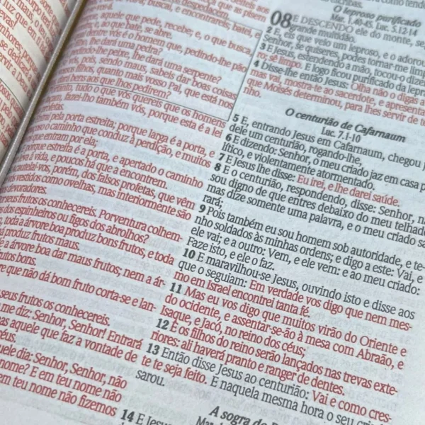Bíblia Sagrada Feminina Leão Yeshua Rosa Capa Dura Com Harpa e Índice LETRA MÉDIA Versão ARC Jovem - Imagem 2