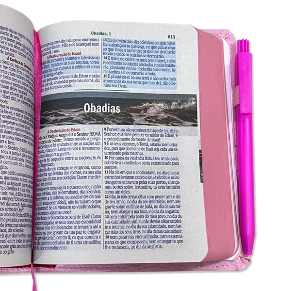 Bíblia Sagrada Letra Grande - Rosa - Botão e Caneta Revista e Corrigida - Com Harpa - Imagem 5